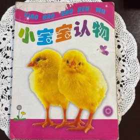 小宝宝认物（撕不烂）