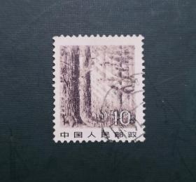 1981年邮票， 普22  10分信销票。实拍图有色差，品相请买家看图自鉴自定。货号01