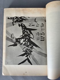 珂罗版《南画大成 第2卷 蘭竹菊四君子》1935年兴文社  有水渍  品相如图