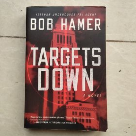 Targets Down HAMER BOB