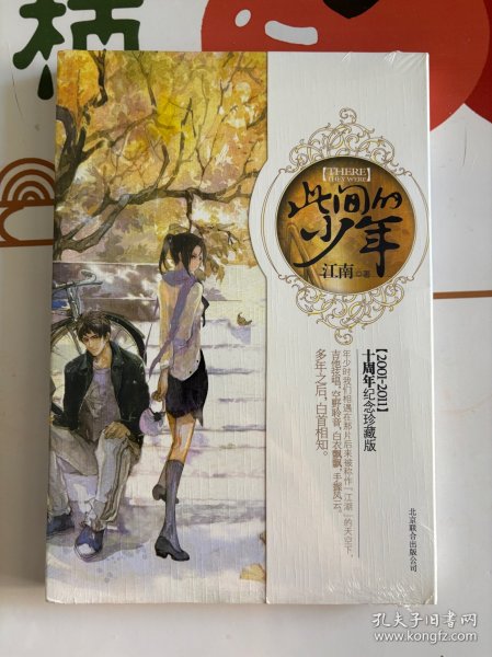 此间的少年：十周年纪念版