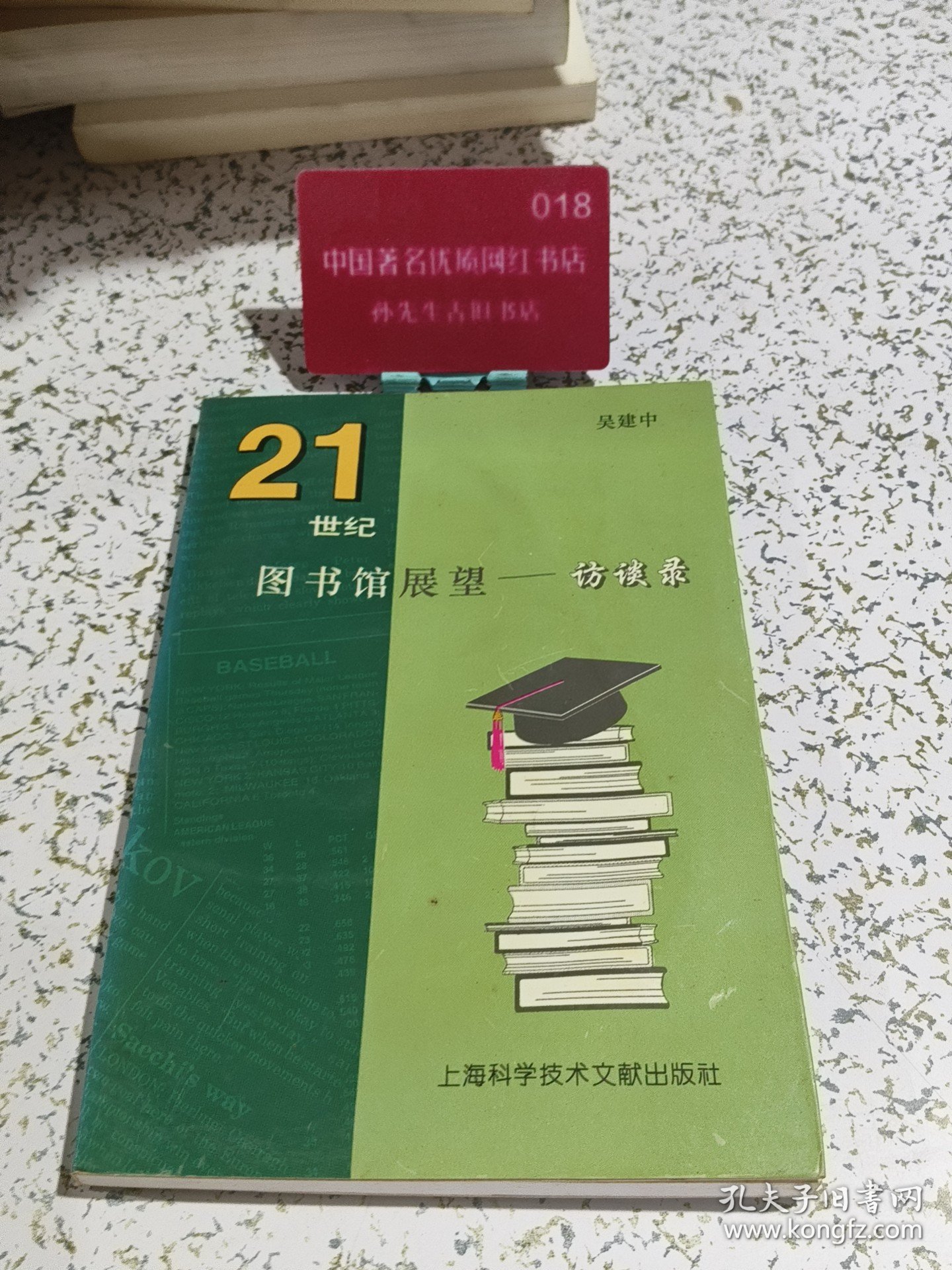 21世纪图书馆展望:访谈录