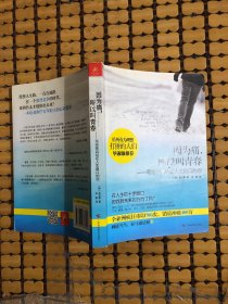 因为痛，所以叫青春：写给独自站在人生路口的你