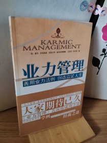业力管理：善用业力法则 创造富足人生