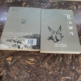 飛天犀牛