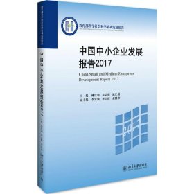 中國中小企業(yè)發(fā)展報告2017