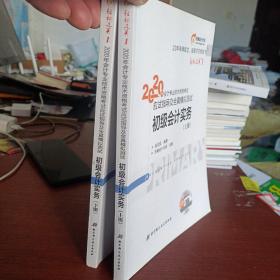 东奥初级会计2020 轻松过关1 2020年应试指导及全真模拟测试初级会计实务 (上下册) 轻一