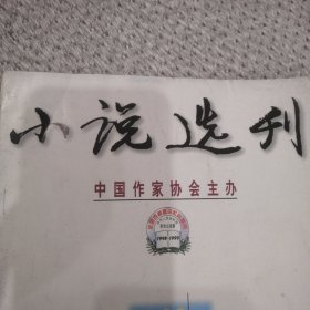 小说选刊杂志一本，分别有：迟子建，叶兆言照片故事，徐小斌，艾伟，红柯，王小妮，王大进，李敬泽，刘庆邦，李贯通，作品