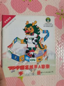 95中国足球甲A联赛手册