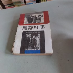 黑雾红尘:国共重庆谈判的前前后后