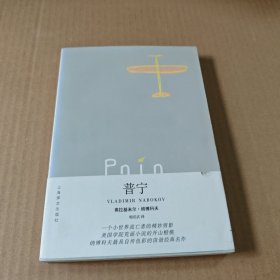 普宁