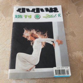 小小说选刊2001•9（总第273期）