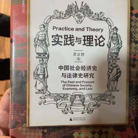 大学问·实践与理论：中国社会经济史与法律史研究（以立足本土的国际视野，手把手教你做科研）