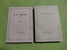 大卫 科波菲尔 上下