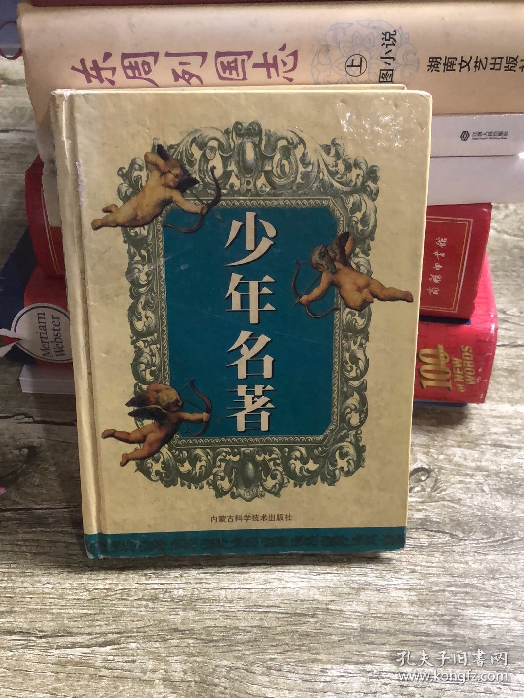 少年名著宝库.第一卷.安徒生童话上.童话经典