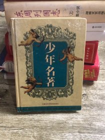 少年名著宝库.第一卷.安徒生童话上.童话经典
