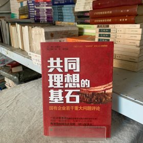 共同理想的基石：国有企业若干重大问题评论