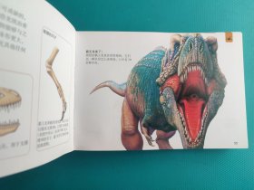 口袋图书馆 :危险动物