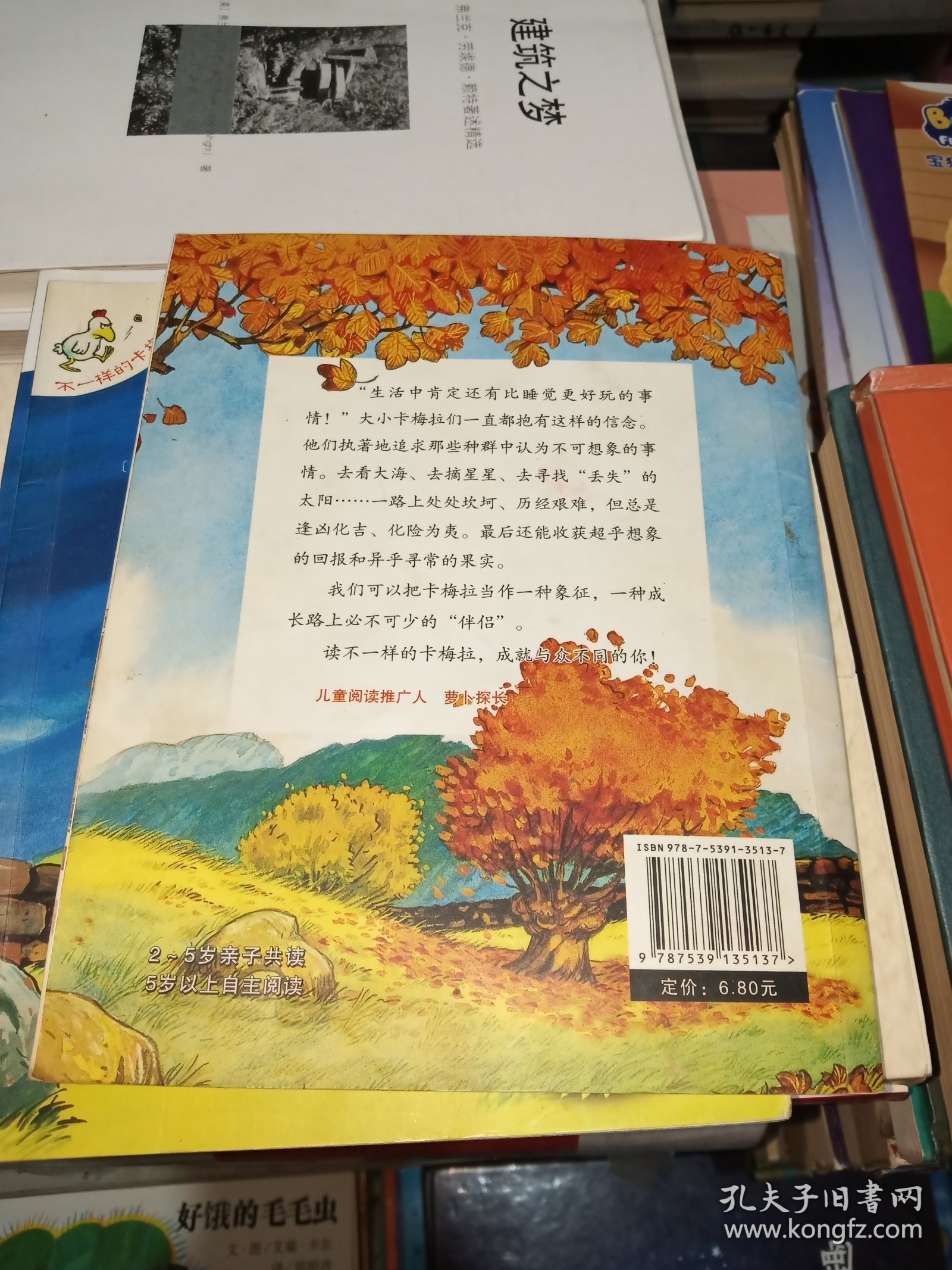 我爱小黑猫：不一样的卡梅拉5(畅销300万册)