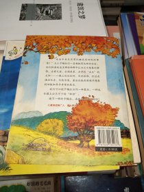 我爱小黑猫：不一样的卡梅拉5(畅销300万册)