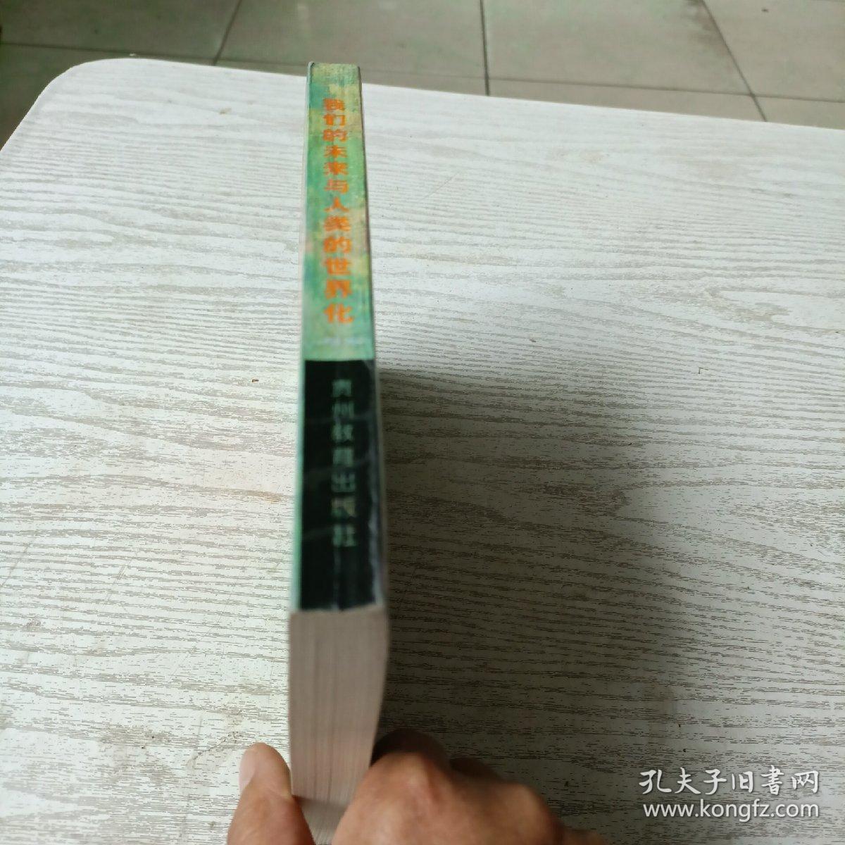 我们的未来与人类的世界化——话说全球意识