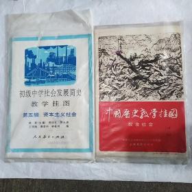 中学历史教学参考挂图 10份合售:初级中学社会发展结识教学挂图第五辑资本主义社会，努力社会,汉代中外交通图,西汉同匈奴的战争和张骞出使西域，淝水之战东晋和十六国形势图，战国形势图，秦统一图，三国鼎立图，新航路发现图，帝国主义瓜分下的非洲图。