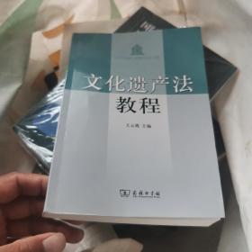 文化遗产法教程