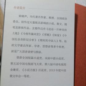 梁晓声自选集（梁晓声亲自编选！王蒙封面题字并作序推荐！全面展现梁晓声四十余年创作成就的权威读本） 保证正版！582页，16开大本