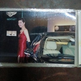 车展车模（照片）