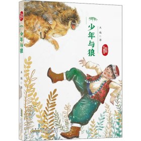 少年与狼