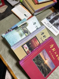 尘封的日记:第二、三、五、六辑(共四册合售)