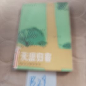 天涯归客