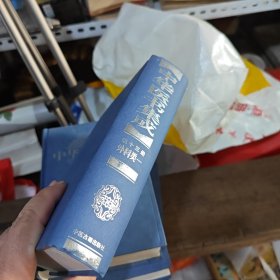 中华医书集成 第十三册外科类一（2-3-2-2）