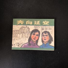 连环画：奔向延安