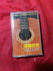磁带 浔阳吉他 殷飚吉他专辑