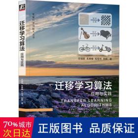 迁移学算法 应用与实践 人工智能 庄福振 等