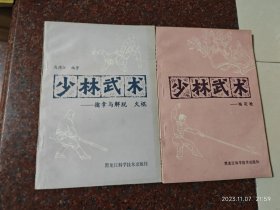 少林武术擒拿与脱打火棍 +少林武术梅花枪 2本合售高德江 8品