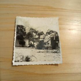 老照片–三个女孩在桂林友谊树景点留影（1981年9月）