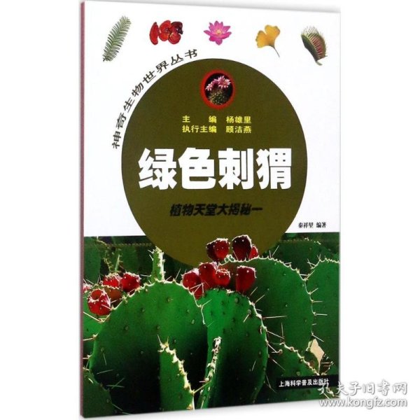 绿色刺猬——植物天堂大揭秘一