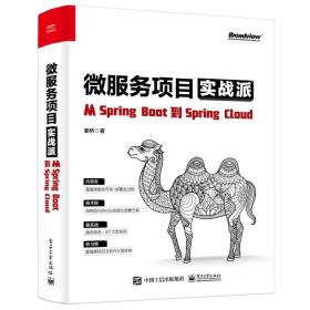 微服务项目实战派 从springboot到springcloud 编程语言 姜桥 新华正版