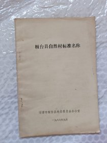 桓台县自然村标准名称