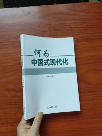 何为中国式现代化（任仲文 编）16开