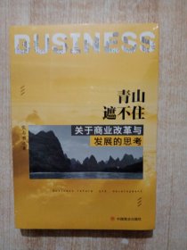 青山遮不住：关于商业改革与发展的思考