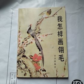 我怎样画翎毛