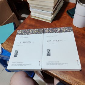 大衛(wèi).科波菲爾.上下冊