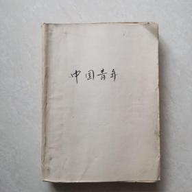 中国青年1981年合订本（11册）1-4、8-12、15、16