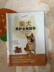 柴犬养护全程指导