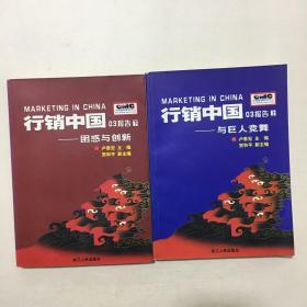 行销中国03报告.下.困惑与创新