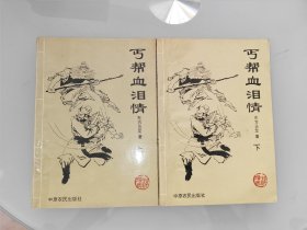 丐帮血泪情 上下