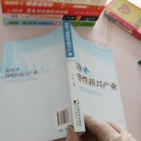 税收与战略性新兴产业